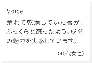 荒れて乾燥していた唇が、ふっくらと蘇ったよう。成分の魅力を実感しています。(40代女性)