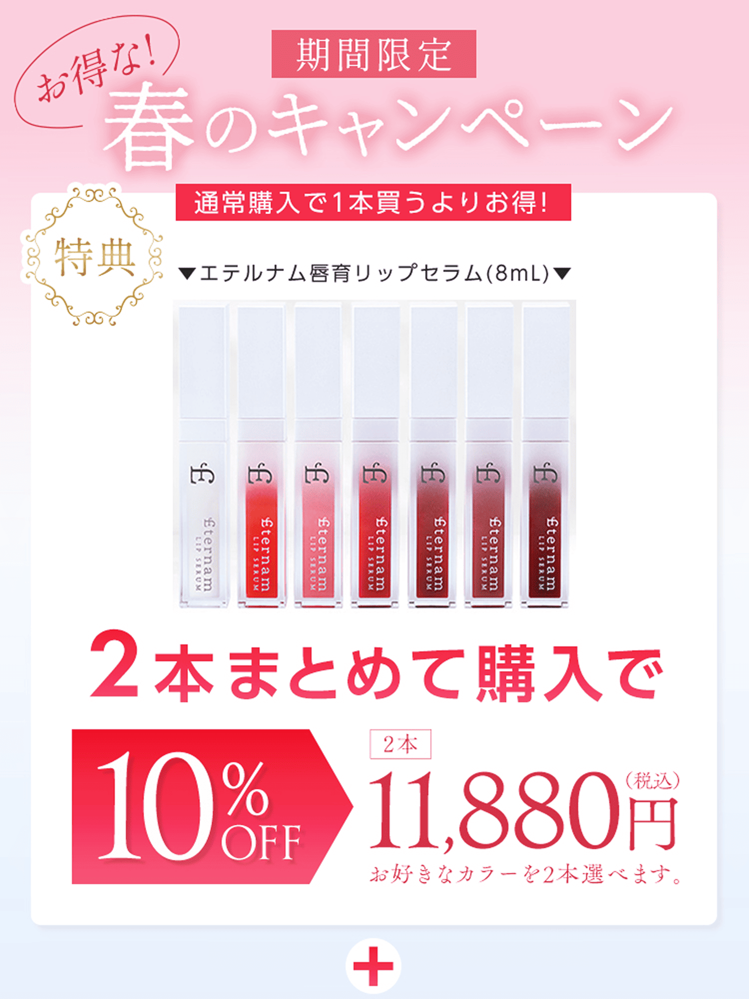 期間限定、お得な春のキャンペーン。2本まとめて購入で10%オフ。2本で11,880円。お好きなカラー選べます。