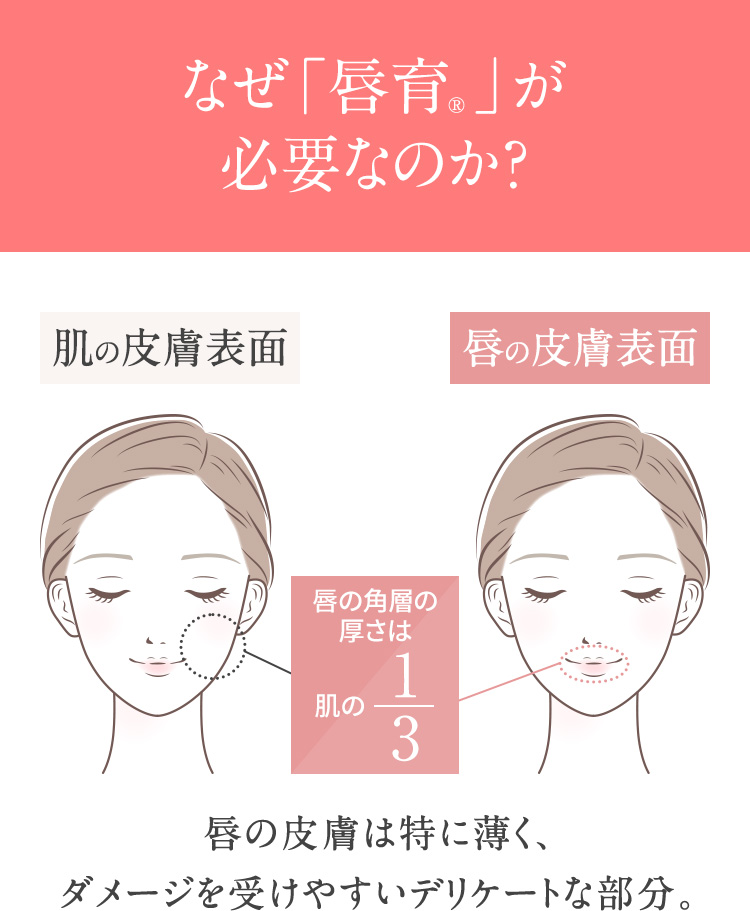 なぜ「唇育」が必要なのか?　唇の皮膚は特に薄く、ダメージを受けやすいデリケートな部分。