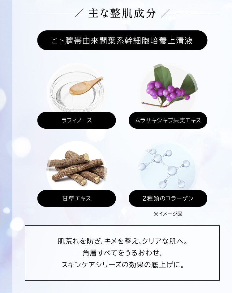 主な整肌成分　ヒト臍帯由来間葉系幹細胞培養上清液　ラフィノース　ムラサキシキブ果実エキス　甘草エキス　2種類のコラーゲン