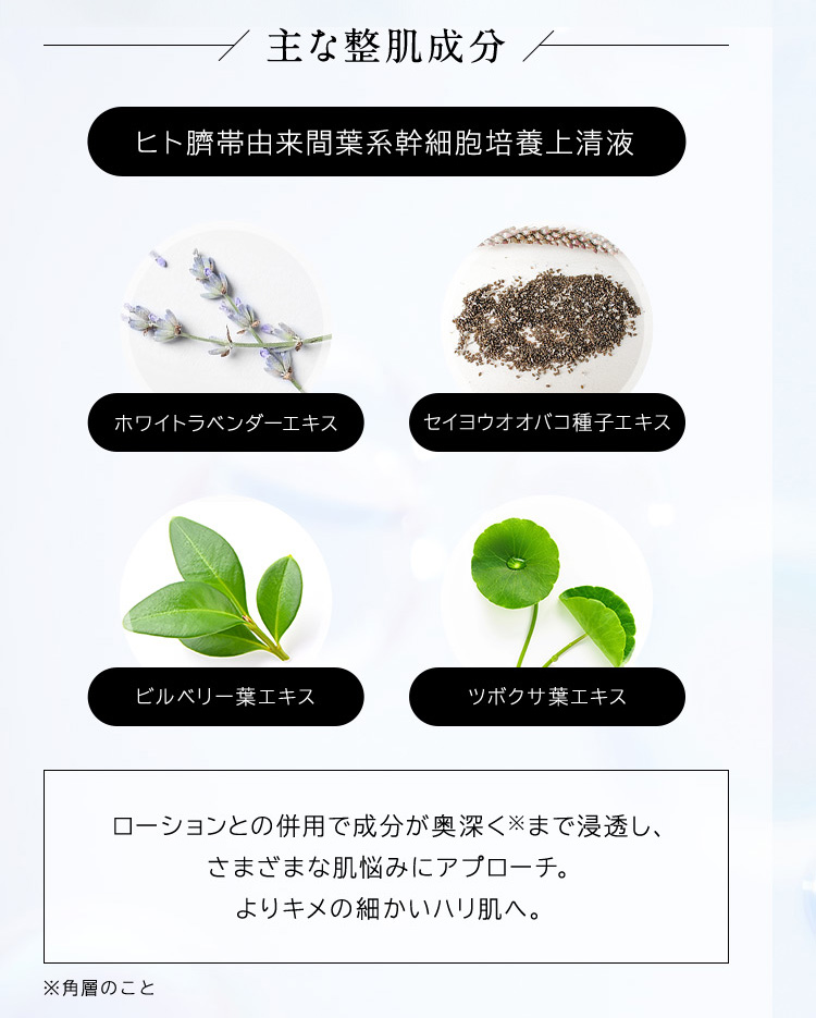 主な整肌成分　ヒト臍帯由来間葉系幹細胞培養上清液　ホワイトラベンダーエキス　セイヨウオオバコ種子エキス　ビルベリー葉エキス　ツボクサ葉エキス