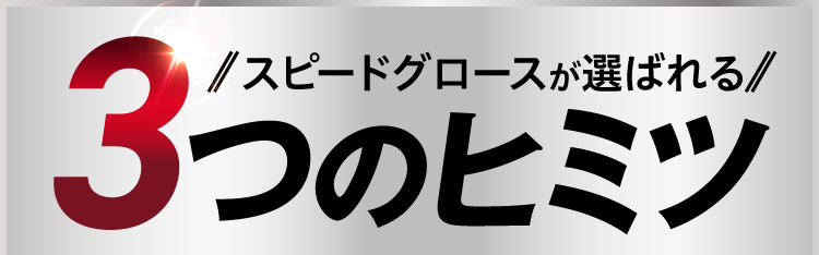 スピードグロースが選ばれる3つのヒミツ