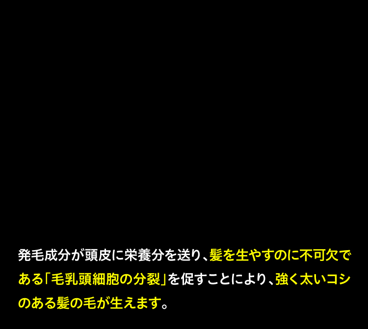 ホルモンバランスにアプローチする説明文