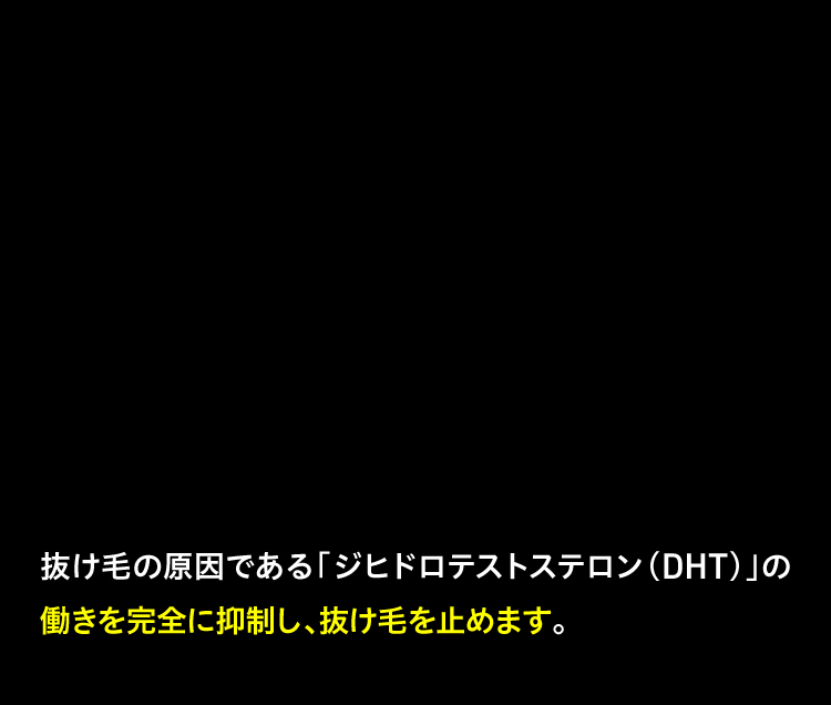 タンパク質生成を説明するテキスト枠