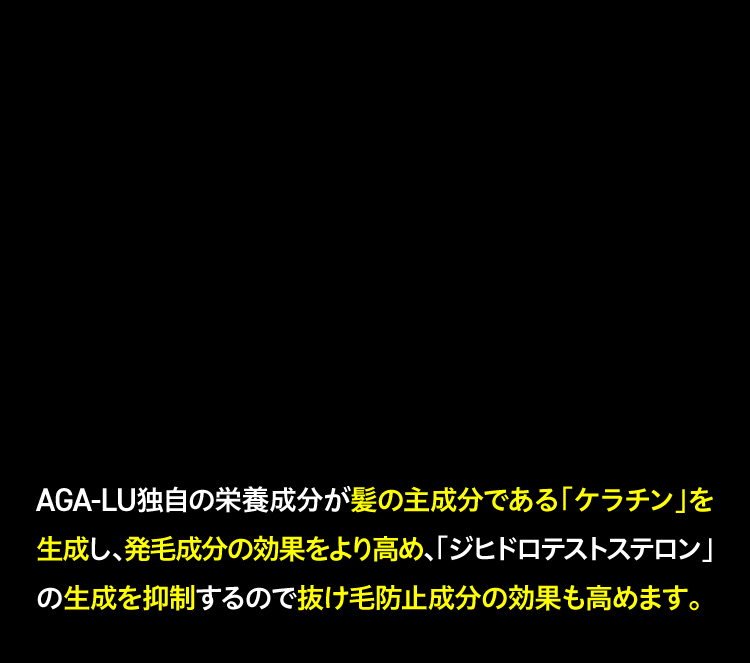 毛母細胞を活性化する説明文