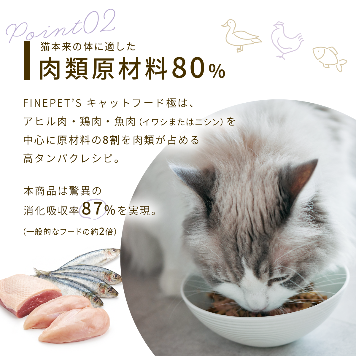 【期間限定特典！３袋の購入で＋１袋】FINEPET'S ファインペッツ キャットフード極 KIWAMI ULTIMATE FORMULA キャットフード 1.5kg 3+1個