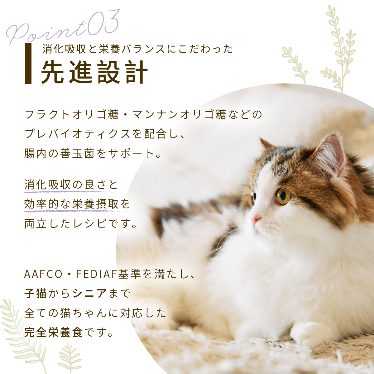 【定期便】FINEPET’S KIWAMI ULTIMATE FORMULA キャットフード 1.5kg