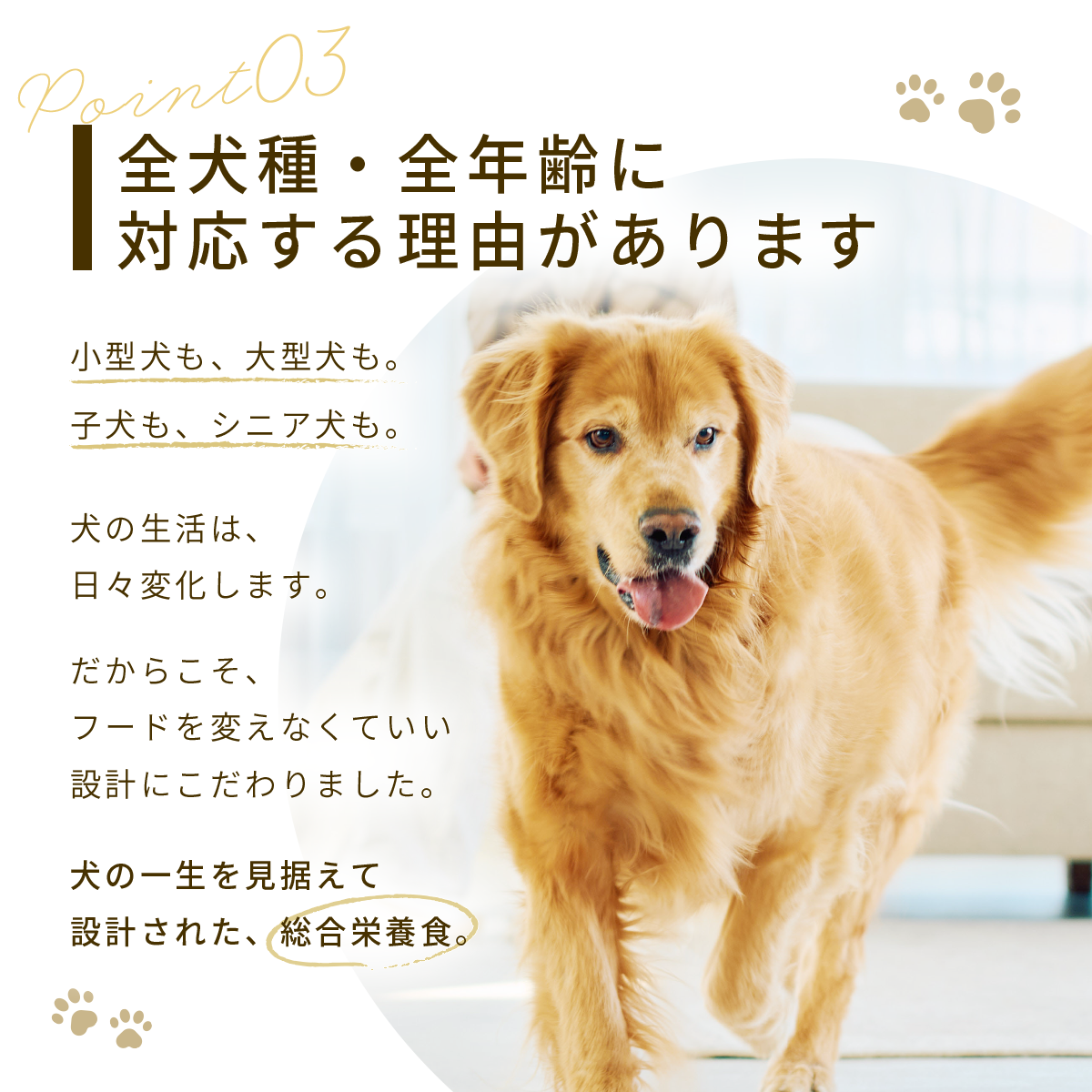 【期間限定特典！定期登録で初回購入＋1袋】FINEPET’S ファインペッツ ドッグフード極 KIWAMI ULTIMATE FORMULA ドッグフード 1.5kg