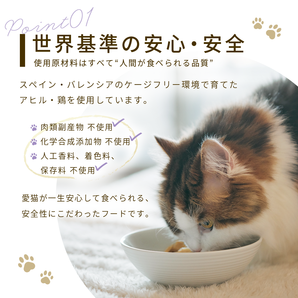 FINEPETS KIWAMI ULTIMATE FORMULA 3袋セット FinePets