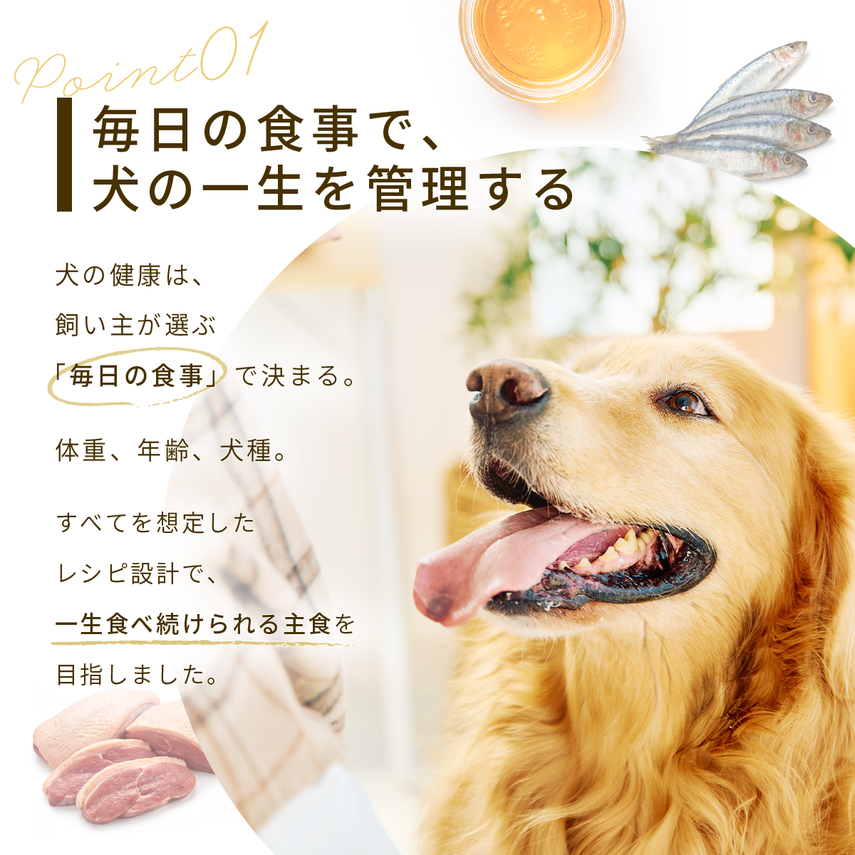 FINEPET’S ファインペッツ ドッグフード極 KIWAMI ULTIMATE FORMULA ドッグフード 1.5kg