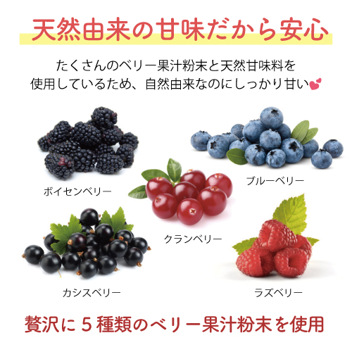 妊活プロテイン　プリマムチョコ味（15日分×2袋）