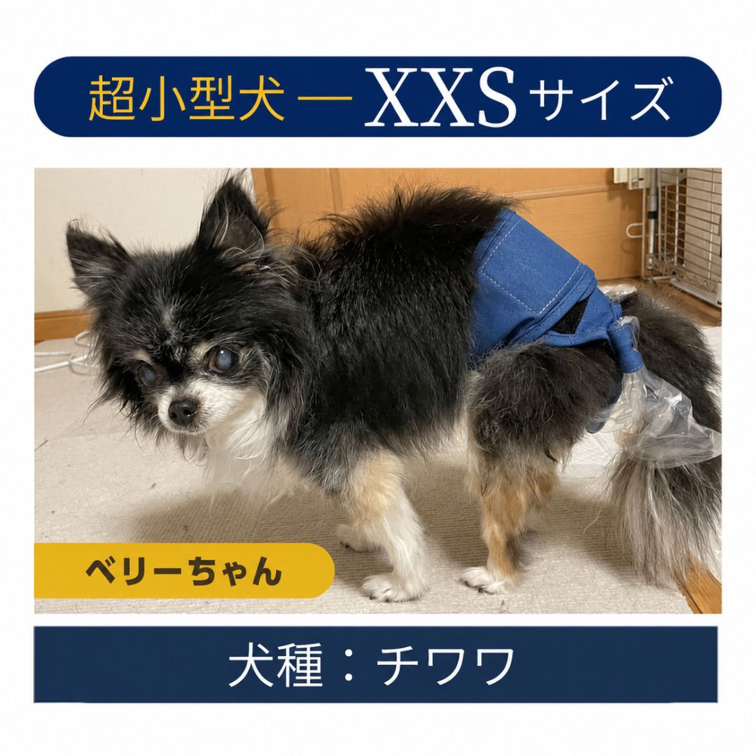 【新サイズ】うんコロキャッチ 3枚セット サイズ: XXSサイズ(1.2kg〜1.9kg)