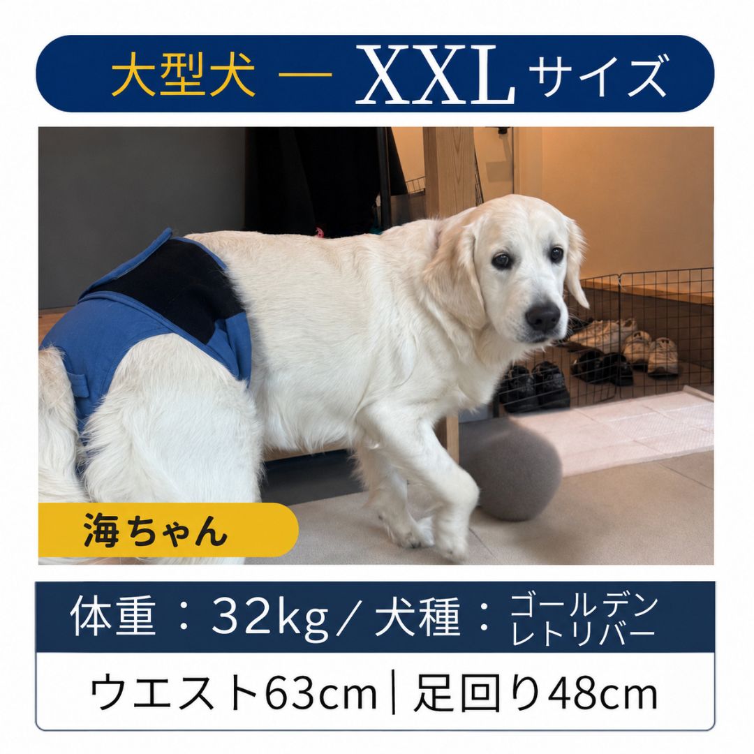 【新サイズ】うんコロキャッチ 3枚セット サイズ: XXSサイズ(1.2kg〜1.9kg)