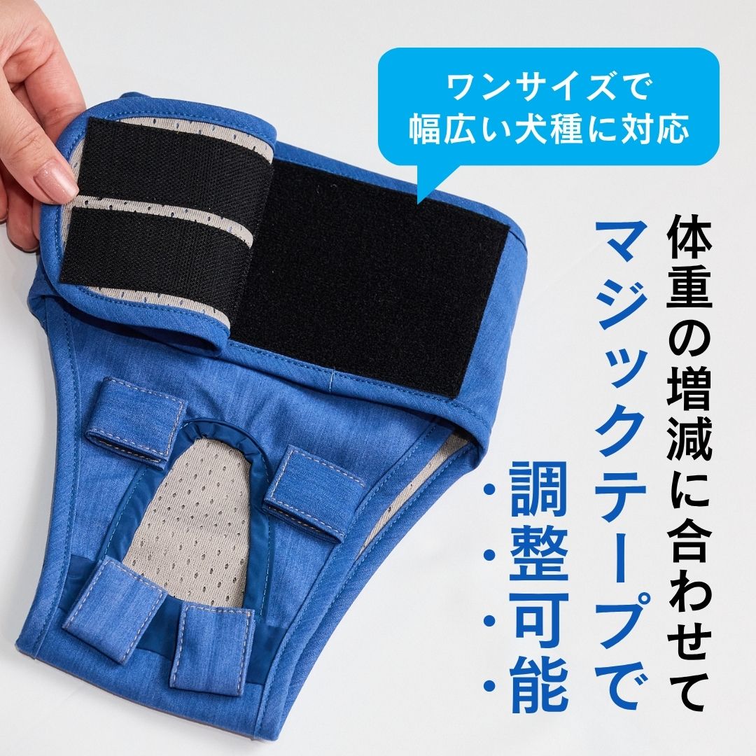 【限定サイズ】うんコロキャッチ 1枚単品 サイズ: XXSサイズ(1.2kg〜1.9kg)