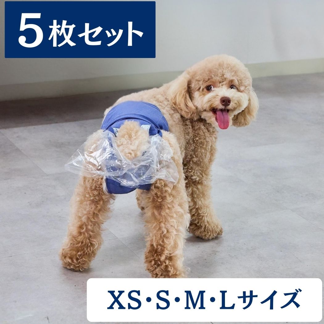 うんコロキャッチ 5枚セット【実質2枚無料】