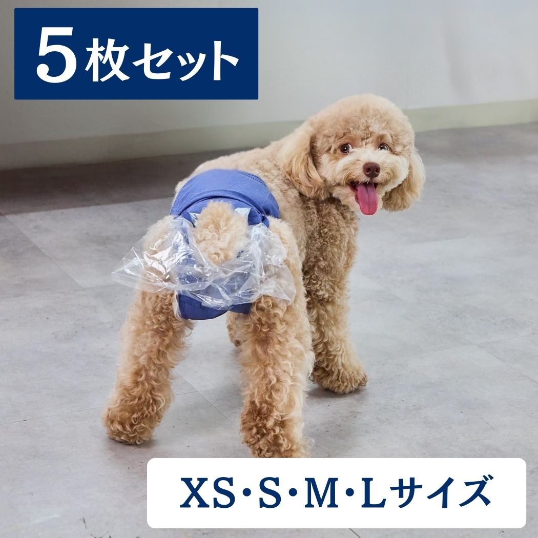 うんコロキャッチ 5枚セット【実質2枚無料】