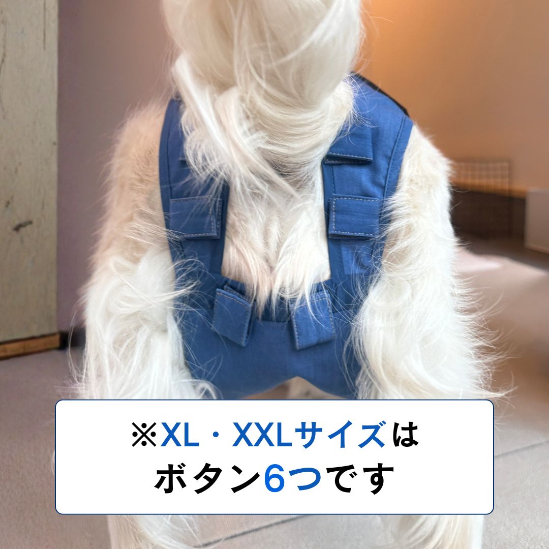 【限定サイズ】うんコロキャッチ 5枚セット サイズ: XXSサイズ(1.2kg〜1.9kg)