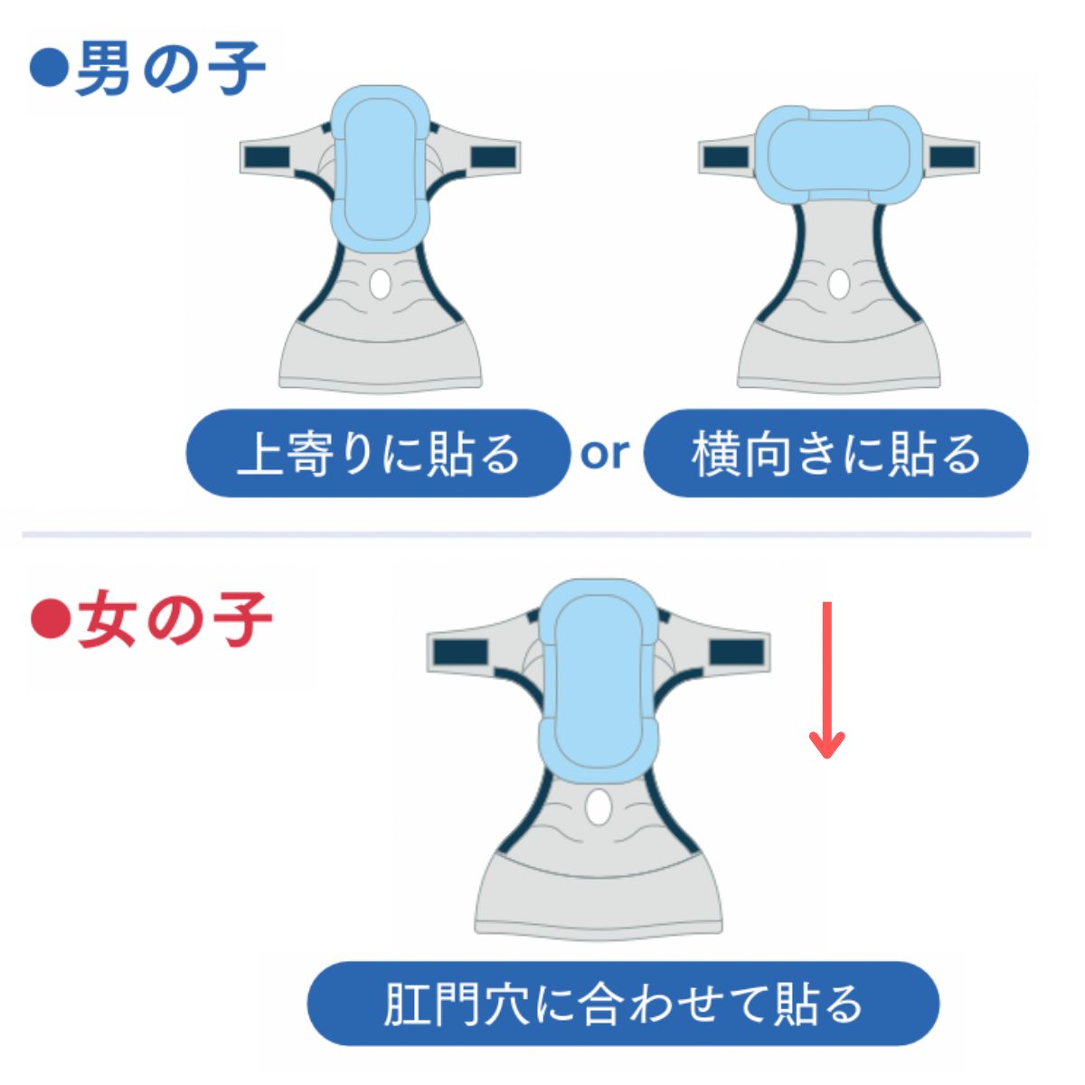 老犬介護用尿とりパッド 90枚入り(単品) サイズ: Sサイズ