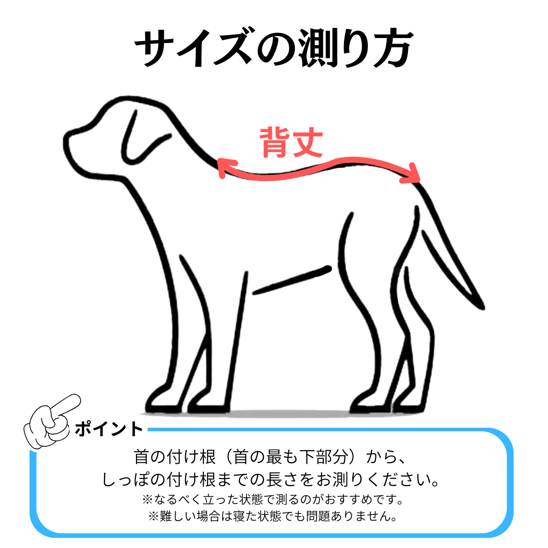 老犬用サスペンダー サイズ: XSサイズ ※在庫切れ