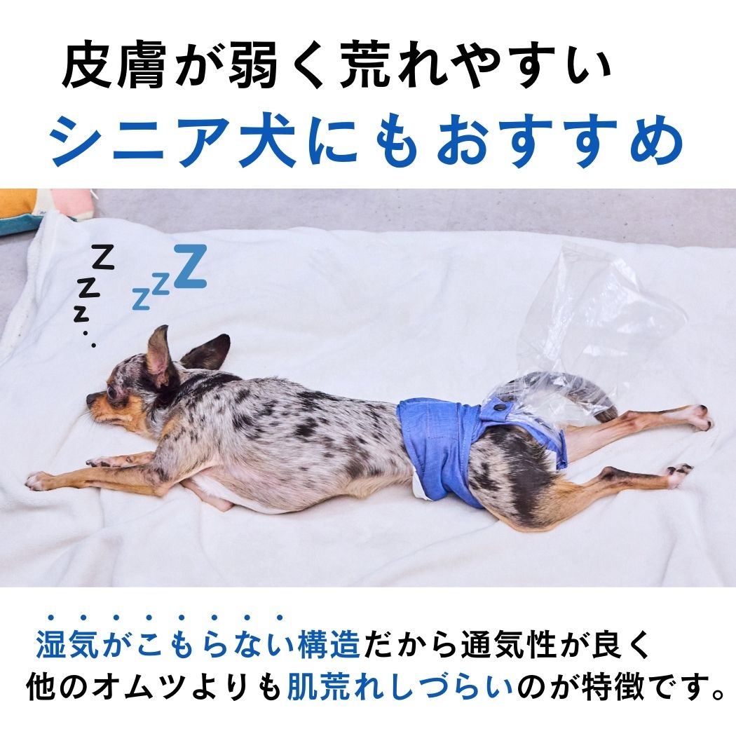 【限定サイズ】うんコロキャッチ 1枚単品 サイズ: XXSサイズ(1.2kg〜1.9kg)