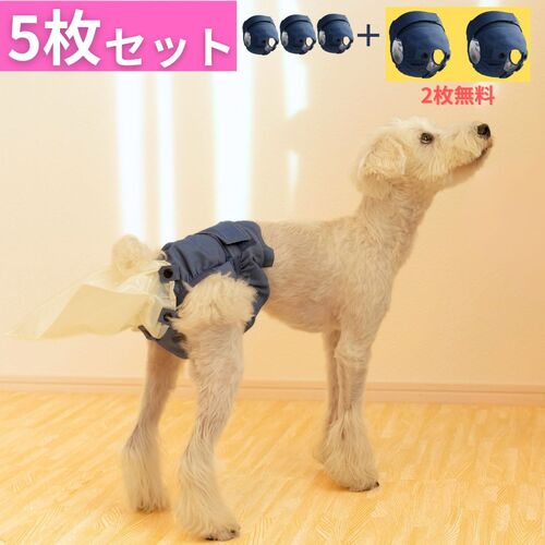 うんコロキャッチマナーベルト Sサイズ ブルー