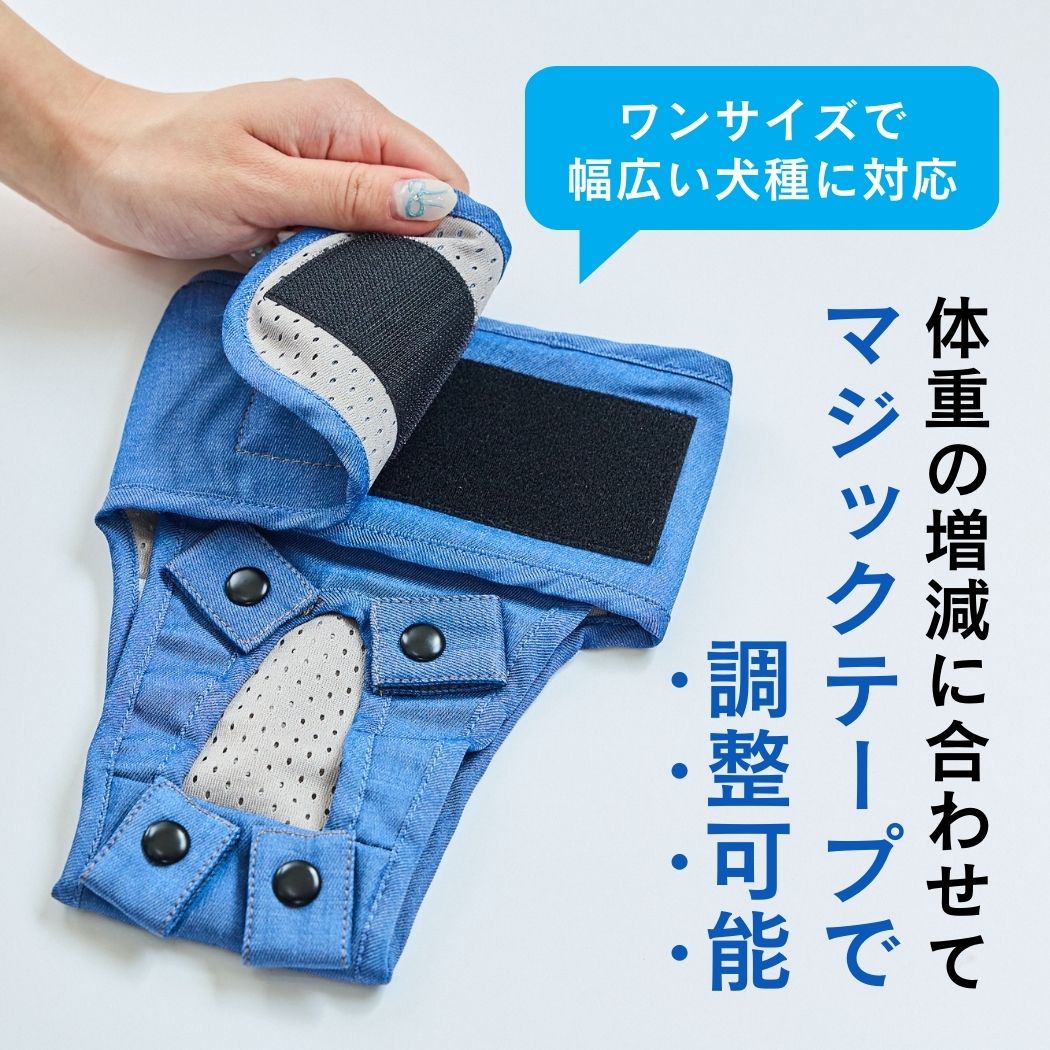 うんコロキャッチ 5枚セット【実質2枚無料】 サイズ: Mサイズ（6.3〜9.9kg）