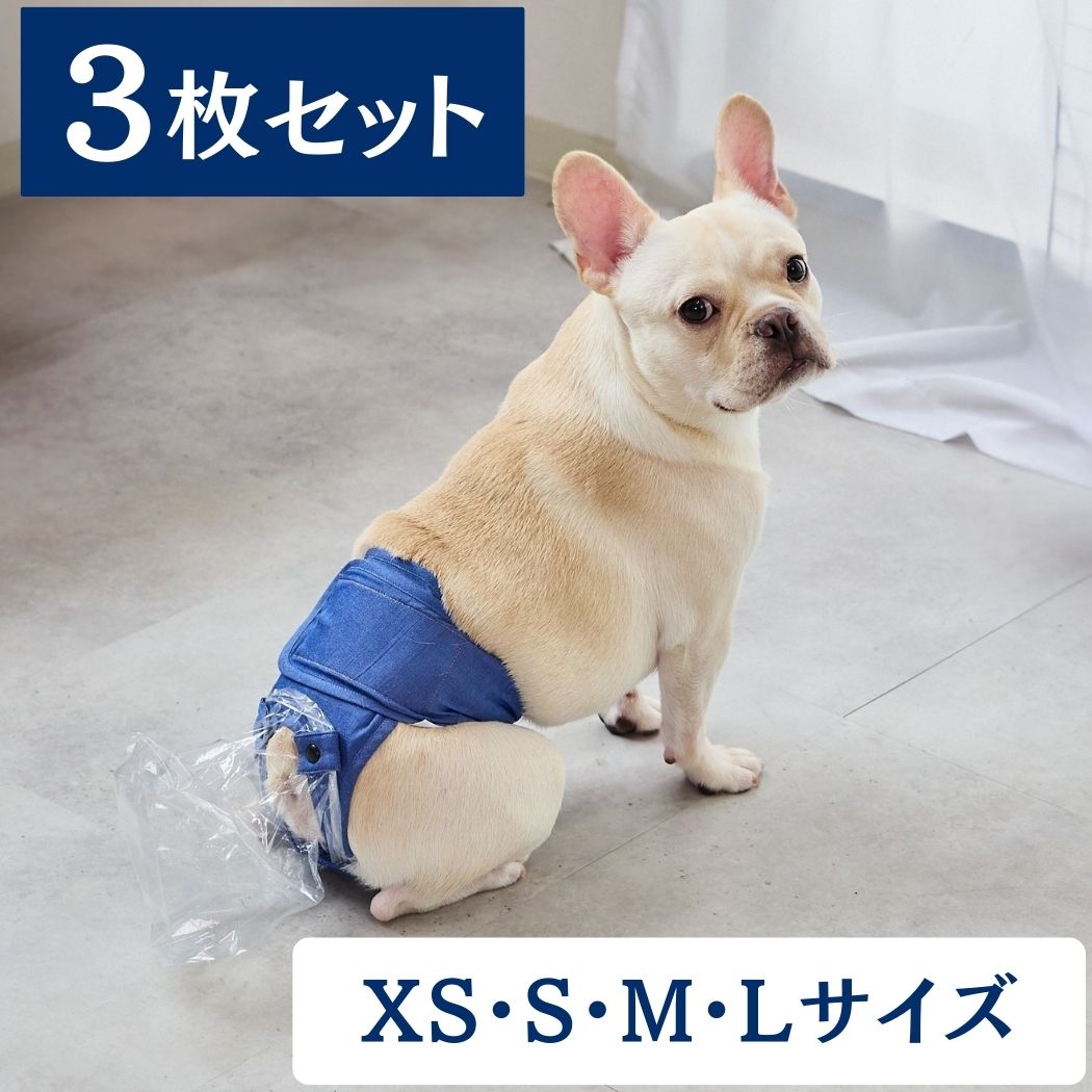 うんコロキャッチ 3枚セット【実質1枚無料】