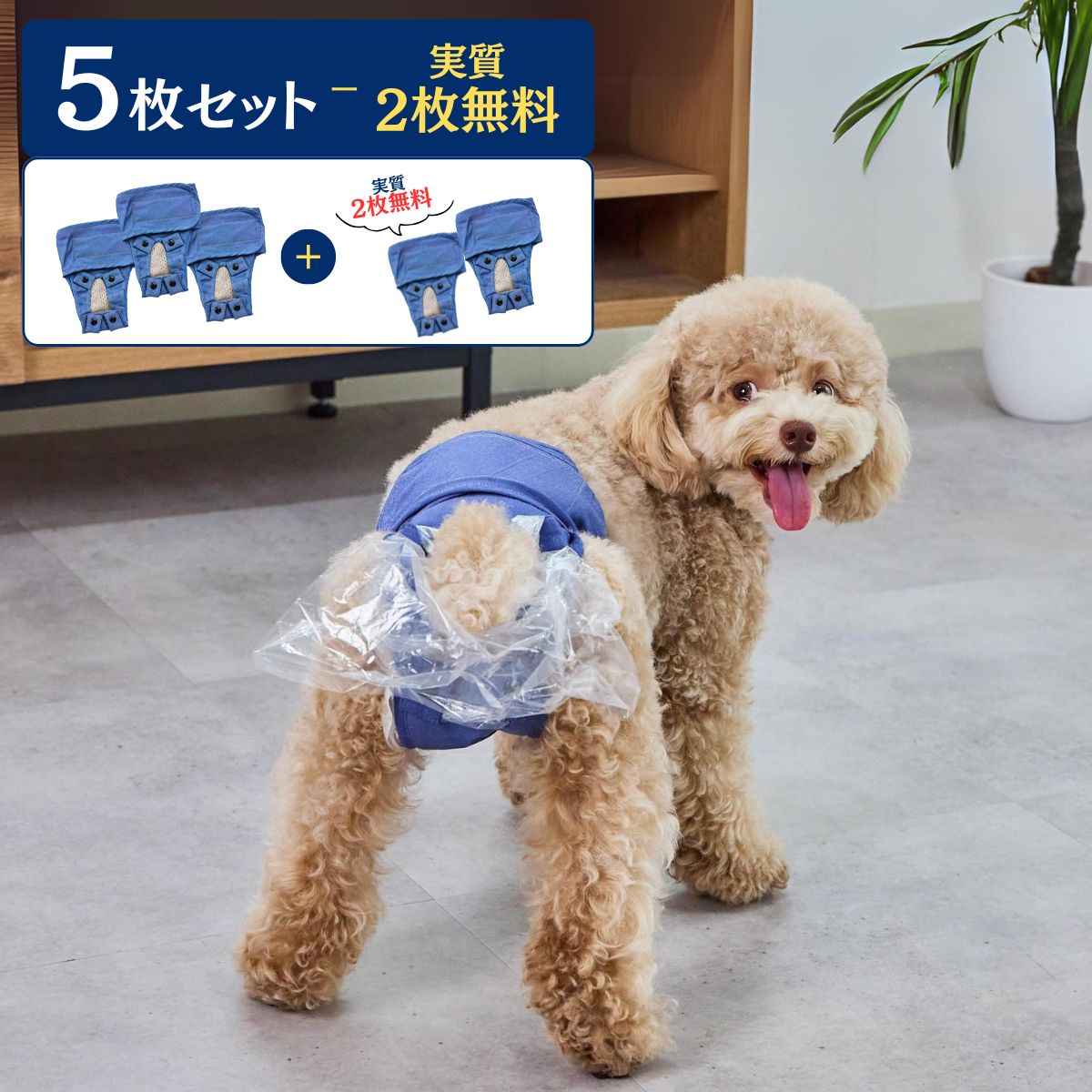 うんコロキャッチ 5枚セット【実質2枚無料】