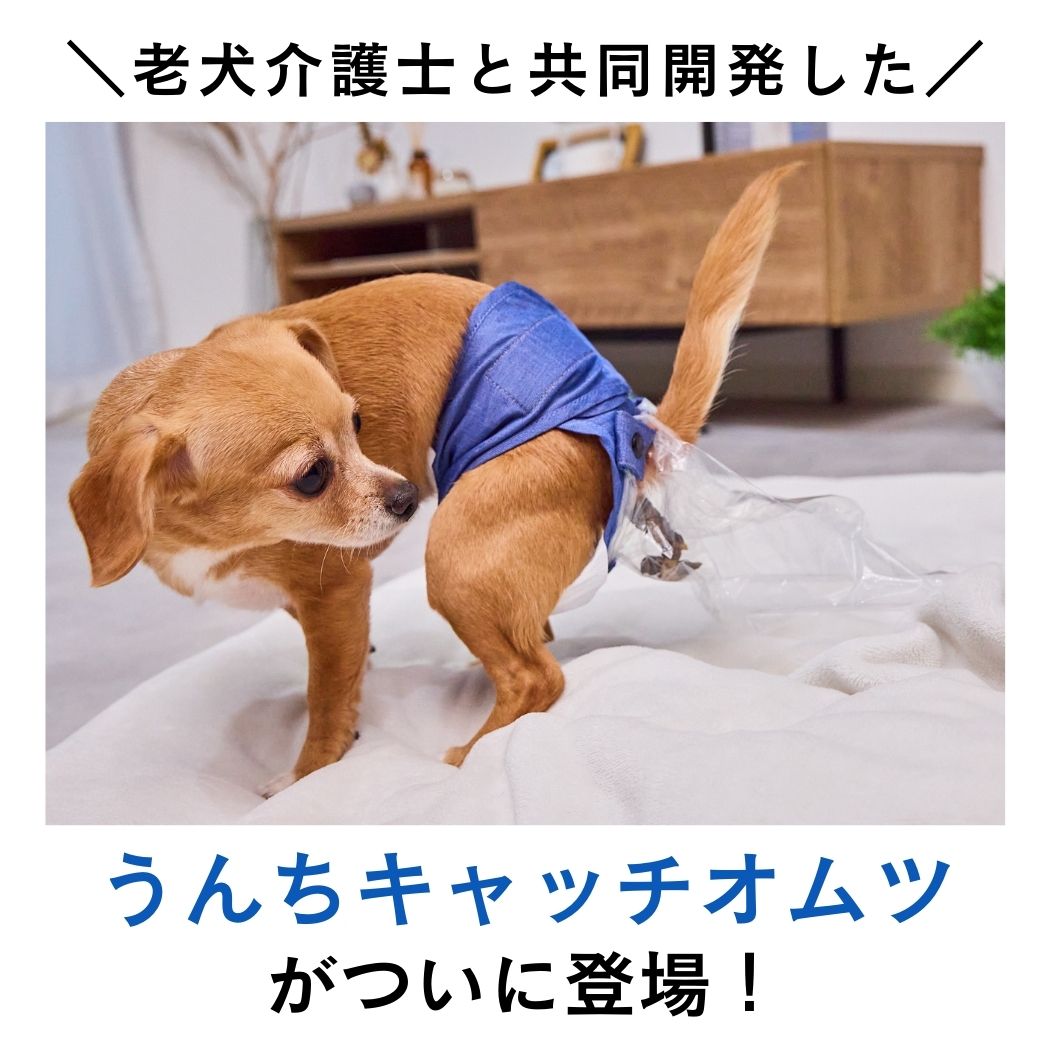 【限定サイズ】うんコロキャッチ 1枚単品 サイズ: XXSサイズ(1.2kg〜1.9kg)