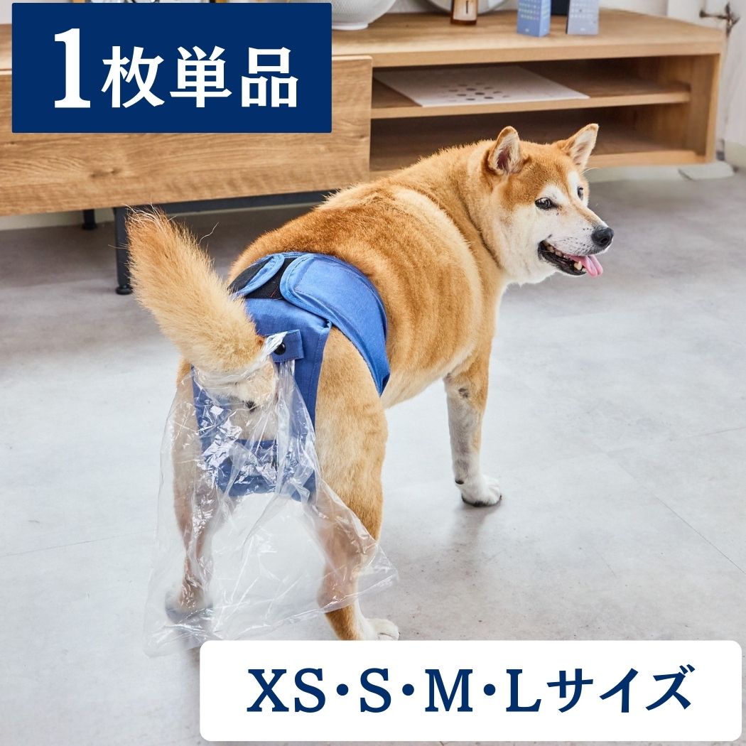 うんコロキャッチ 1枚単品