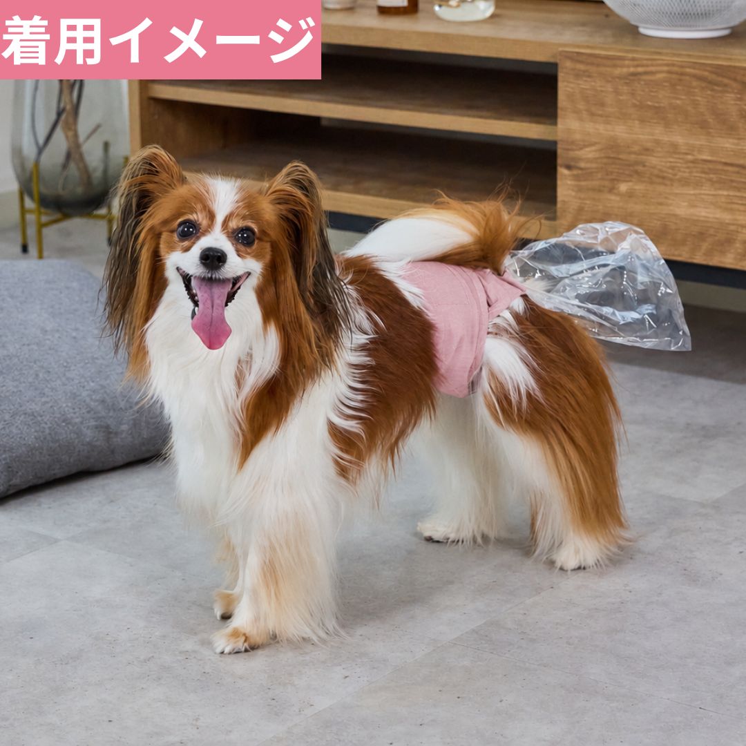 【数量限定】うんコロキャッチ ピンク 1枚単品 サイズ: Sサイズ(4.0~6.2kg)