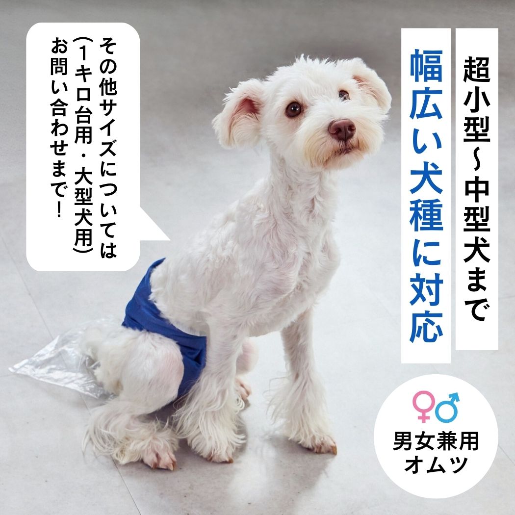 【限定サイズ】うんコロキャッチ 3枚セット サイズ: XXSサイズ(1.2kg〜1.9kg)