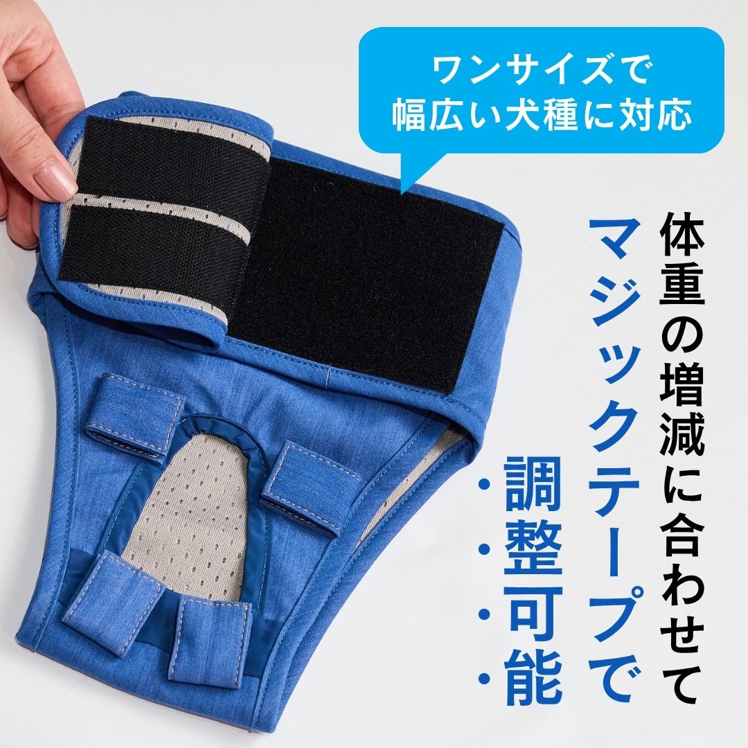 【極美品】うんコロキャッチ3個、尿とりパッド、防臭袋セット　犬用おむつ 商品詳細｜FrienDoggy（フレンドギー）公式オンラインストア