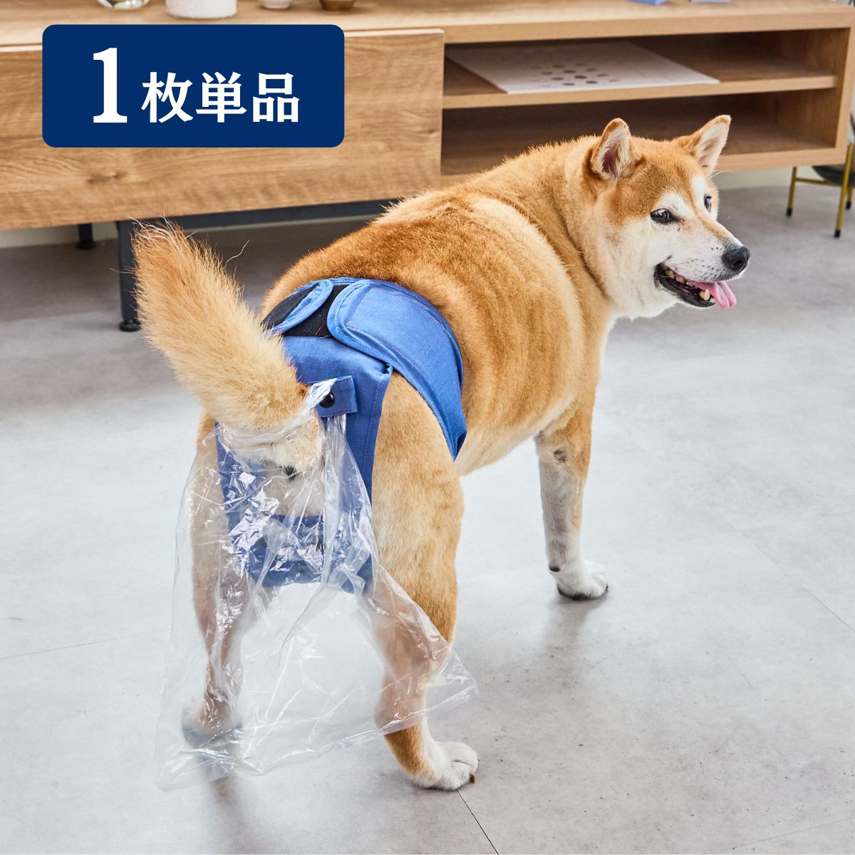 うんコロキャッチ 1枚単品