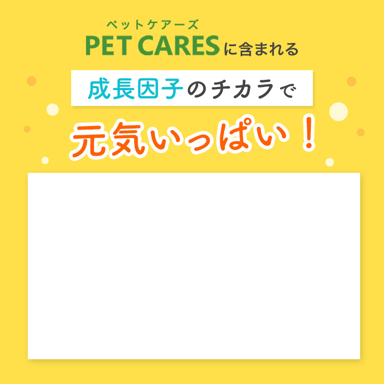 幹細胞培養上清液配合 | PET CARES（ペットケアーズ）