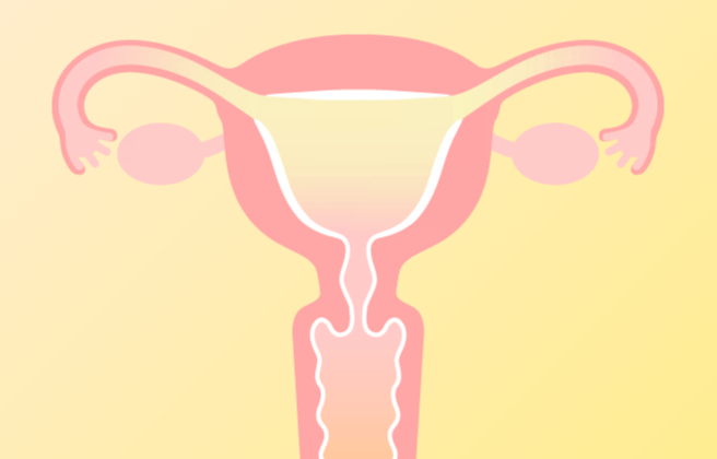 膣が収縮する様子
