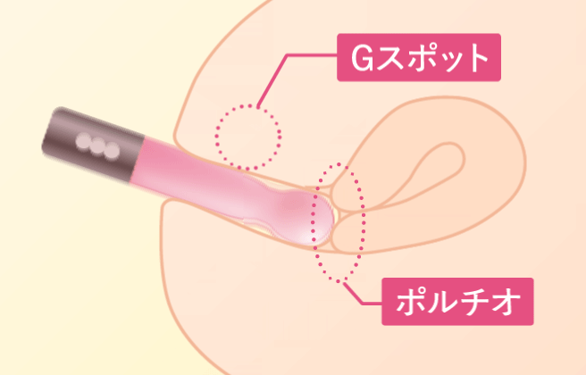 振動する様子