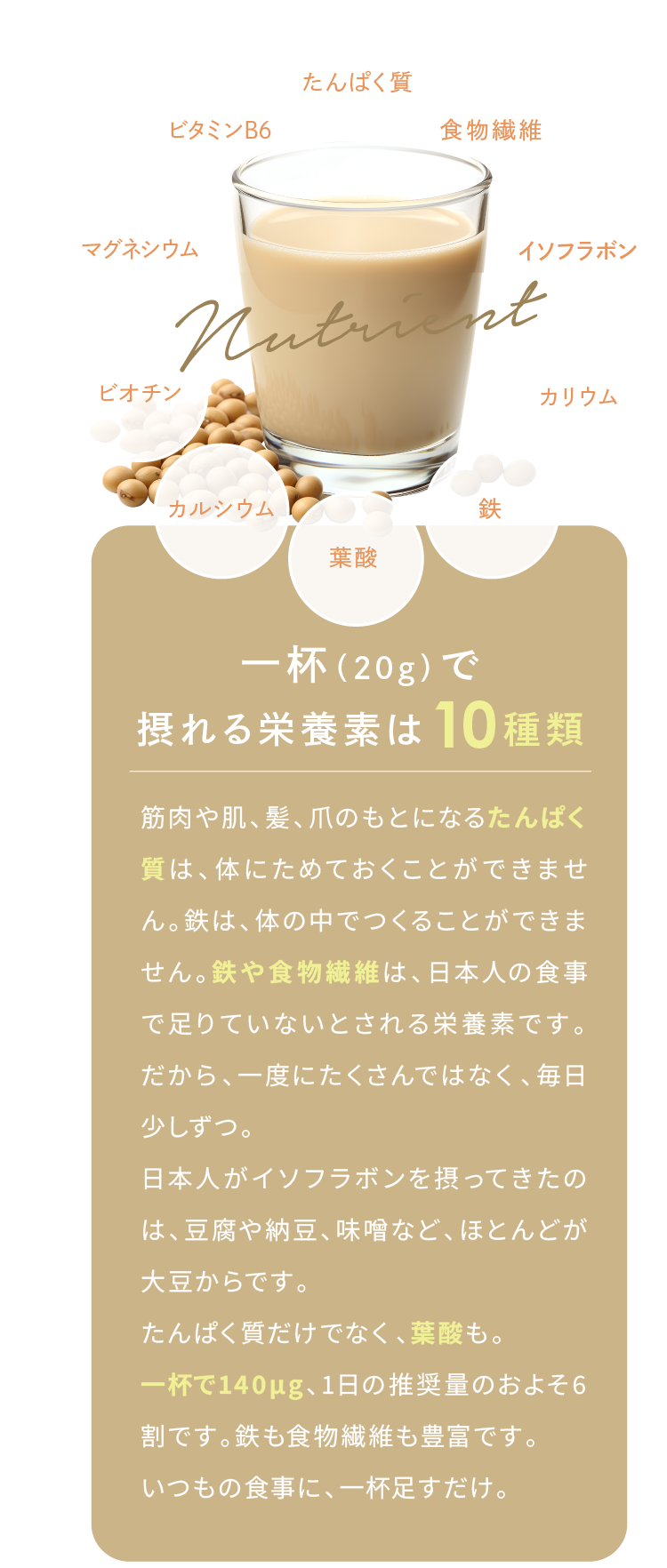 一杯（20g）で摂れる栄養素は10種類