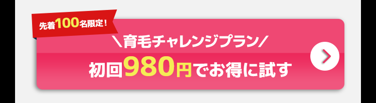 育毛チャレンジプラン