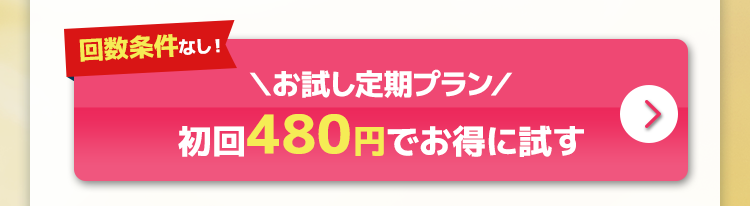 お試しプラン購入ボタン
