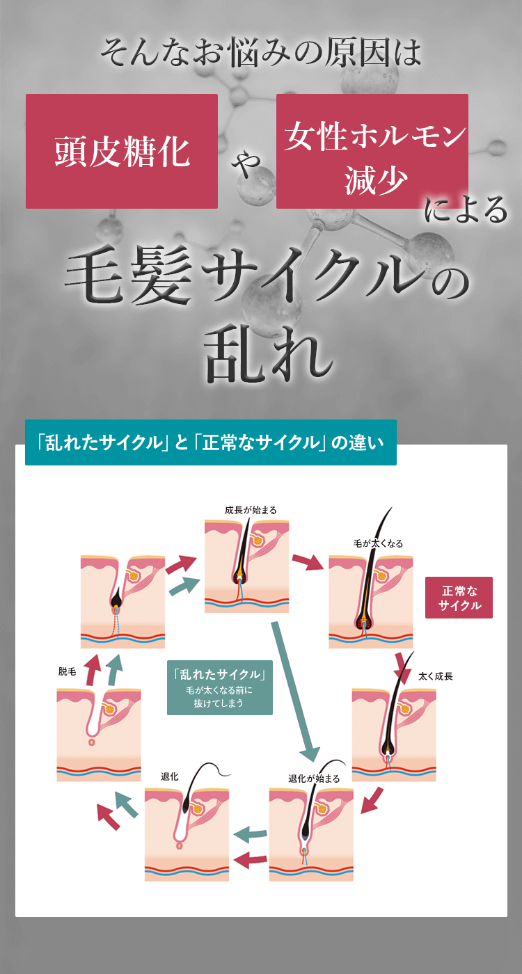 薄毛の原因、頭皮糖化と女性ホルモン