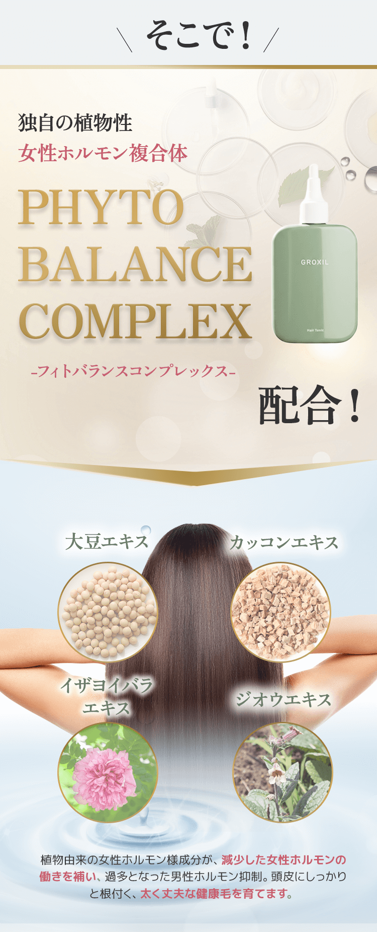 植物エストロゲン処方