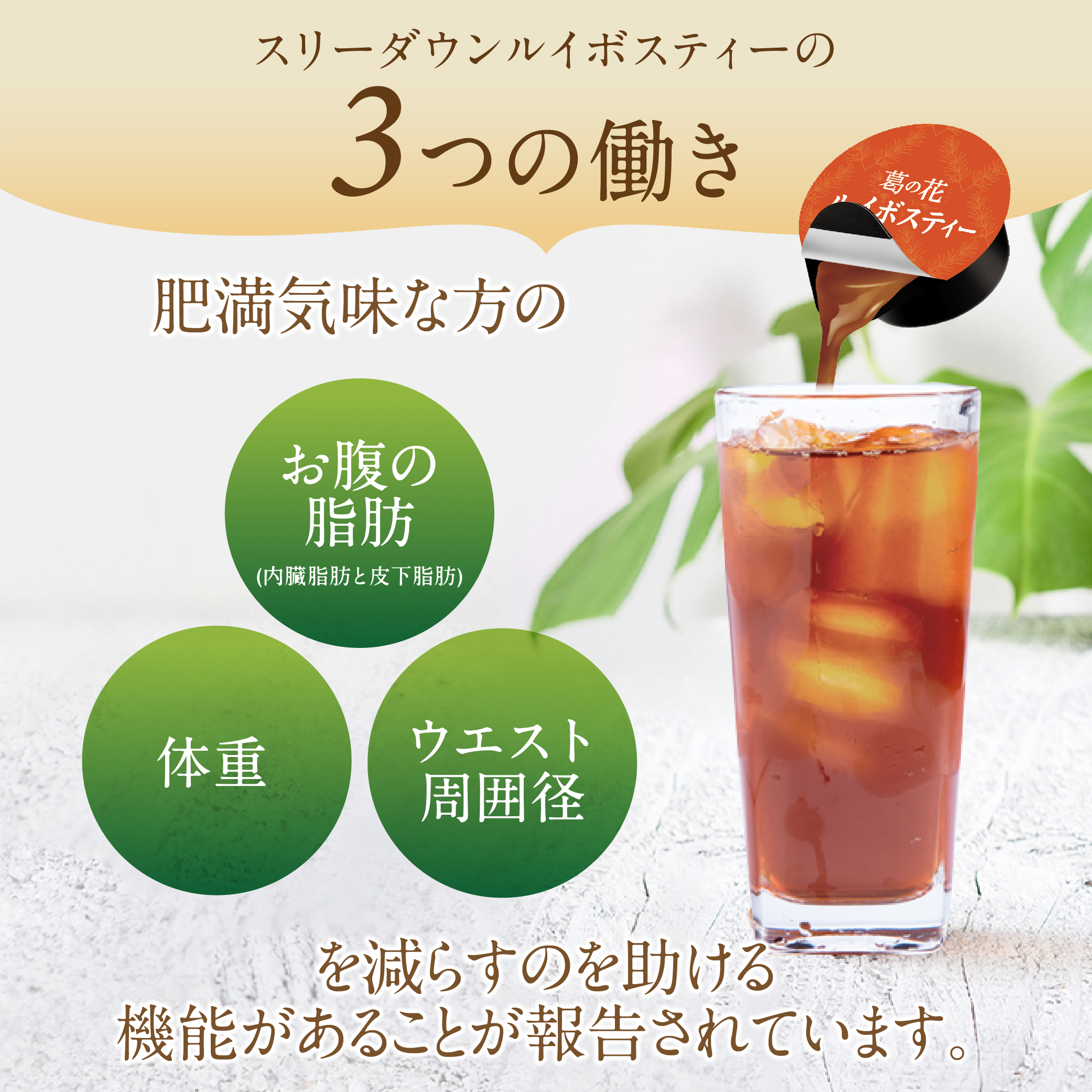 【6袋セット】スリーダウンルイボスティー15個×6袋（機能性表示食品）　3ヶ月分　1日1個　おまとめセット ノンカフェイン