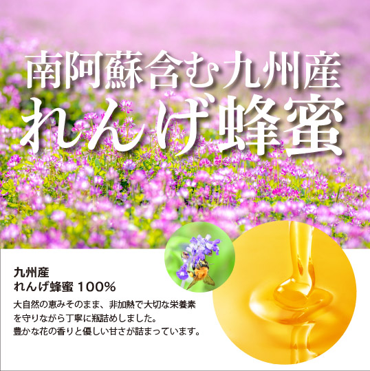 メロディアン 九州産純粋れんげ蜂蜜 350g 1本 瓶 レンゲはちみつ honey 純粋