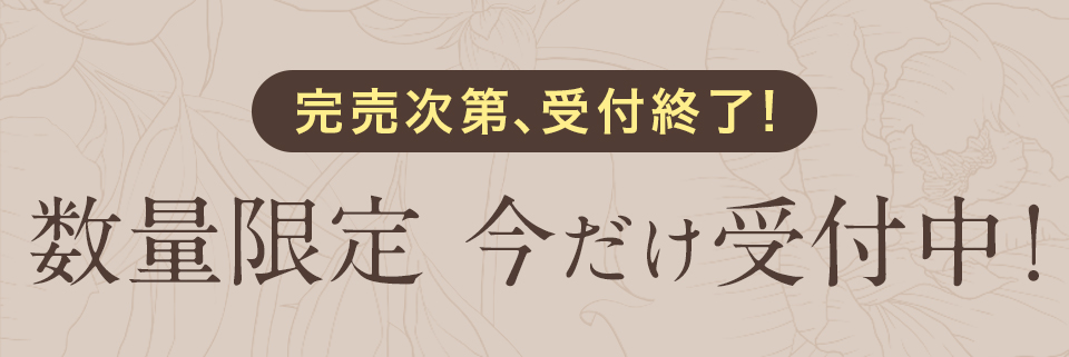 数量限定、今だけ受付中