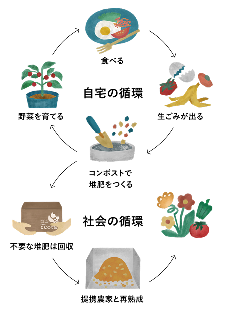 ecotas