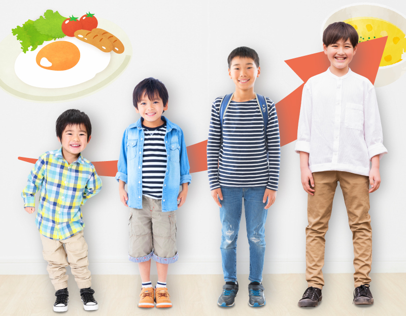 レヨンブレインフード