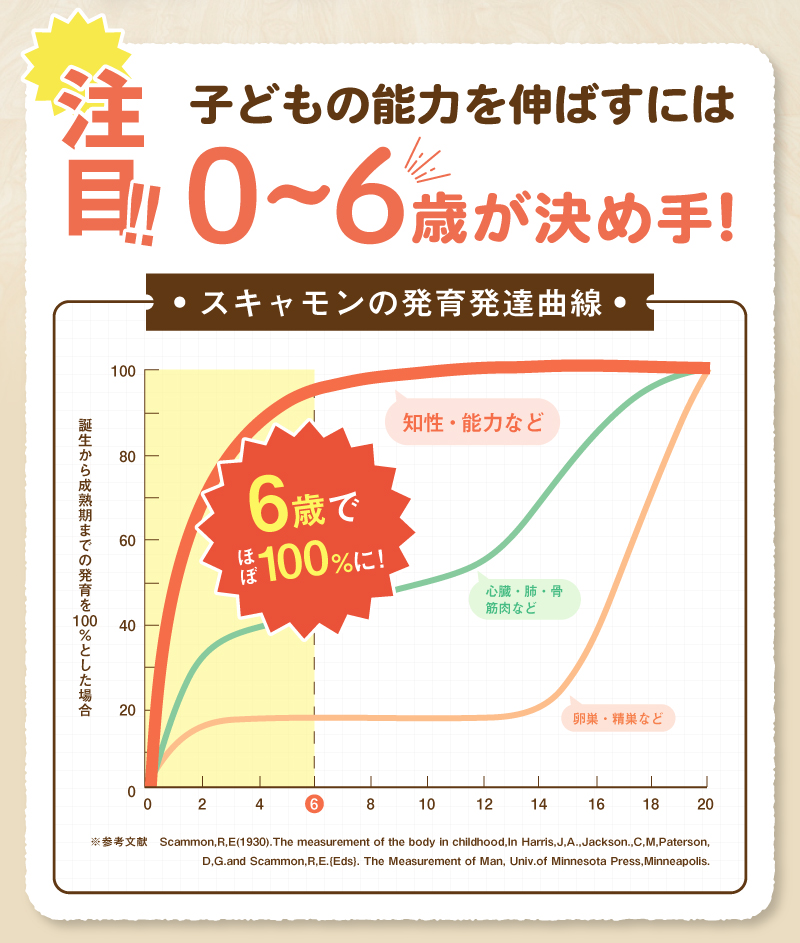 レヨンブレインフード