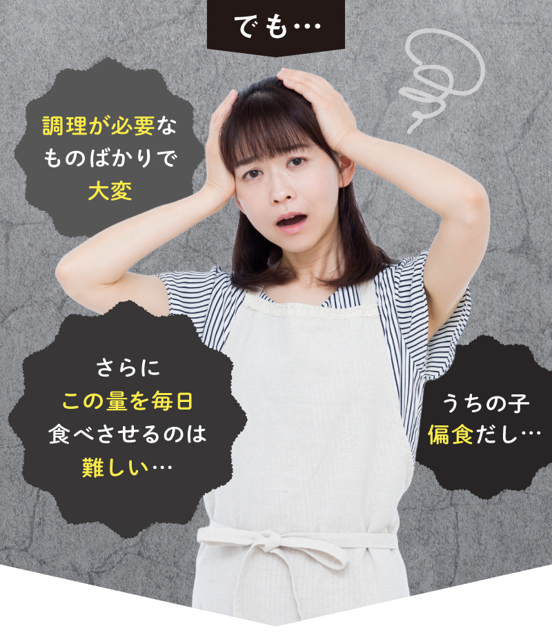 レヨンブレインフード