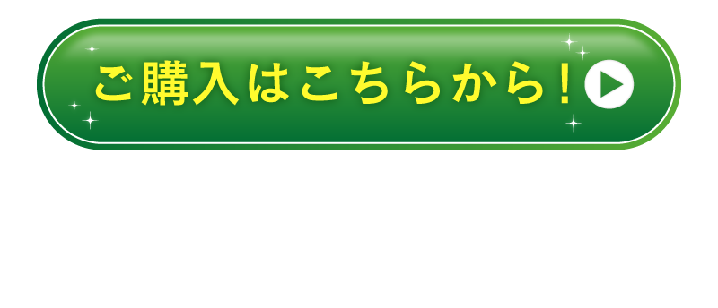 レヨンブレインフード